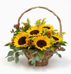 Sunny Delight from Wyoming Florist in Cincinnati, OH